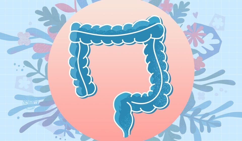 The Best Time to Eat Fermented Foods for Gut Health