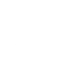 Zorua Community Day: Your Essential PvE Guide