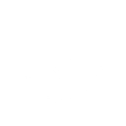 Zorua Community Day: Your Essential PvE Guide