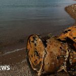 Las Vegas police identify remains of man found in barrel in Lake Mead - BBC News Africa