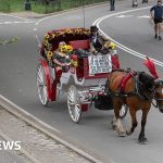 Horse-drawn carriages in New York should be banned