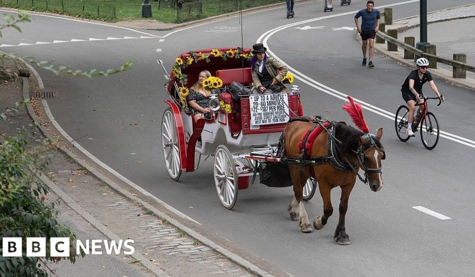 Horse-drawn carriages in New York should be banned