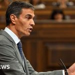 Spanish PM Sánchez loses key vote on housing crisis after eviction of 87-year-old woman - BBC News Africa