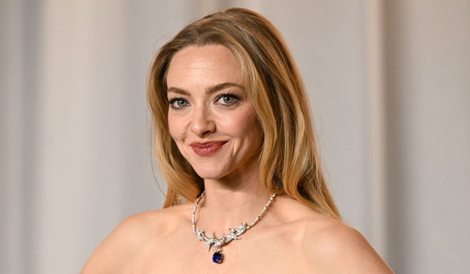 Amanda Seyfried Has A One-Word Answer About Her Split From Her Husband