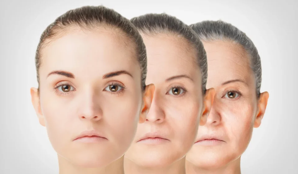 Scientists discover a hidden factor in aging and a simple amino acid that fights memory loss in mice