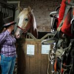 Faced with horse-drawn carriage ban, Central Park drivers fear for their livelihoods