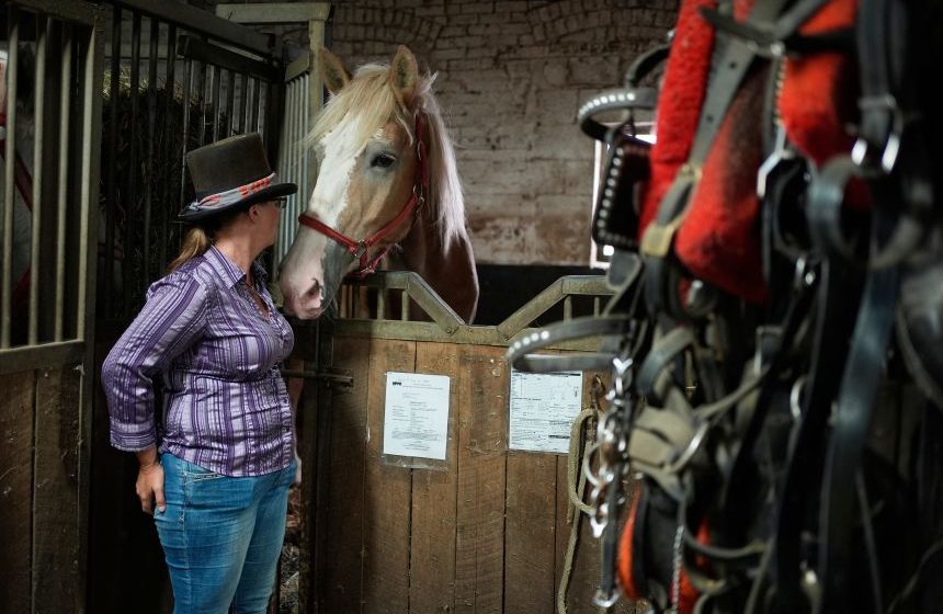 Faced with horse-drawn carriage ban, Central Park drivers fear for their livelihoods
