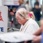 More than 43 million votes cast so far in midterm early voting wave - BBC