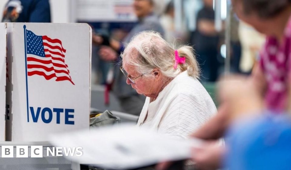 More than 43 million votes cast so far in midterm early voting wave - BBC