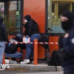 Deadly shooting near Paris investigated for 'crime of terrorism', minister says - BBC News Africa