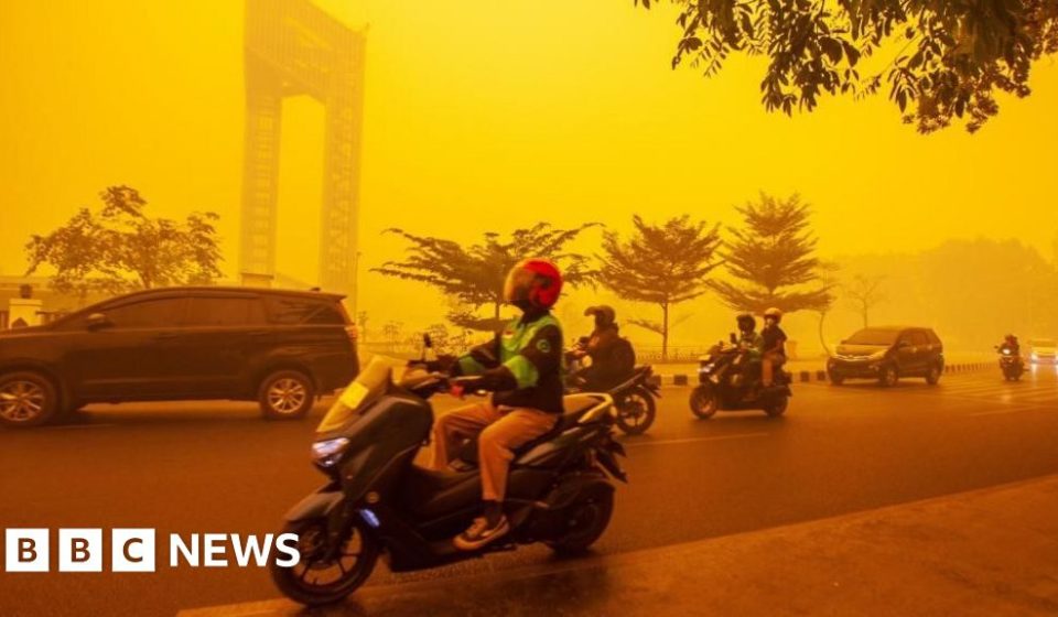 Desperate to clear toxic haze, Indonesia douses its skies with dry ice - BBC News Africa
