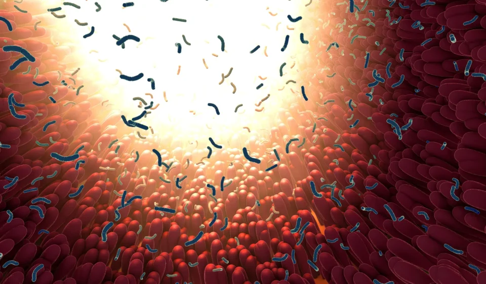 The Secret to Slower Aging May Be Hiding in Your Gut The Secret to Slower Aging May Be Hiding in Your Gut