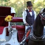 Some New Yorkers welcome horse-drawn carriage ban, but drivers fear for their income - BBC
