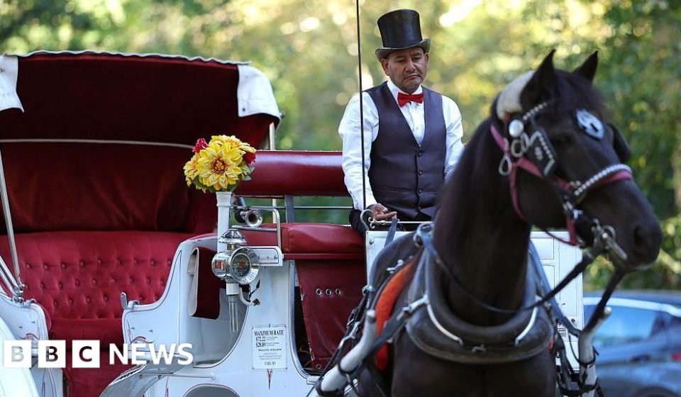 Some New Yorkers welcome horse-drawn carriage ban, but drivers fear for their income - BBC