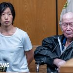 California couple accused of abusing at least 14 children born to surrogates - BBC