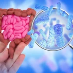 Scientists tested 39 sweeteners and discovered surprising intestinal effects