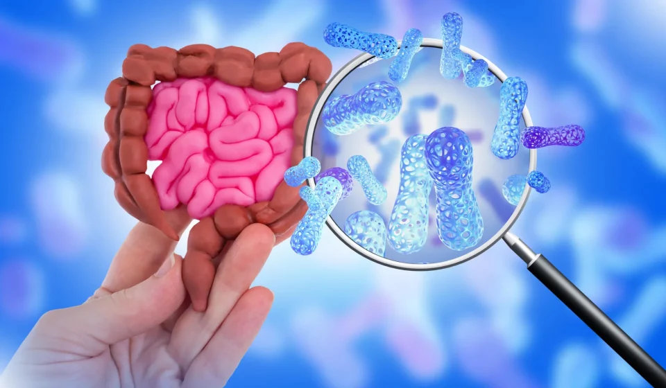 Scientists tested 39 sweeteners and discovered surprising intestinal effects