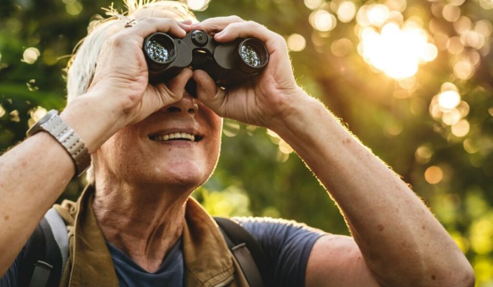 Birdwatching rewires the brain and slows cognitive decline