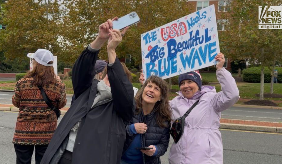No Kings protesters openly call to vote blue despite non-partisan rules