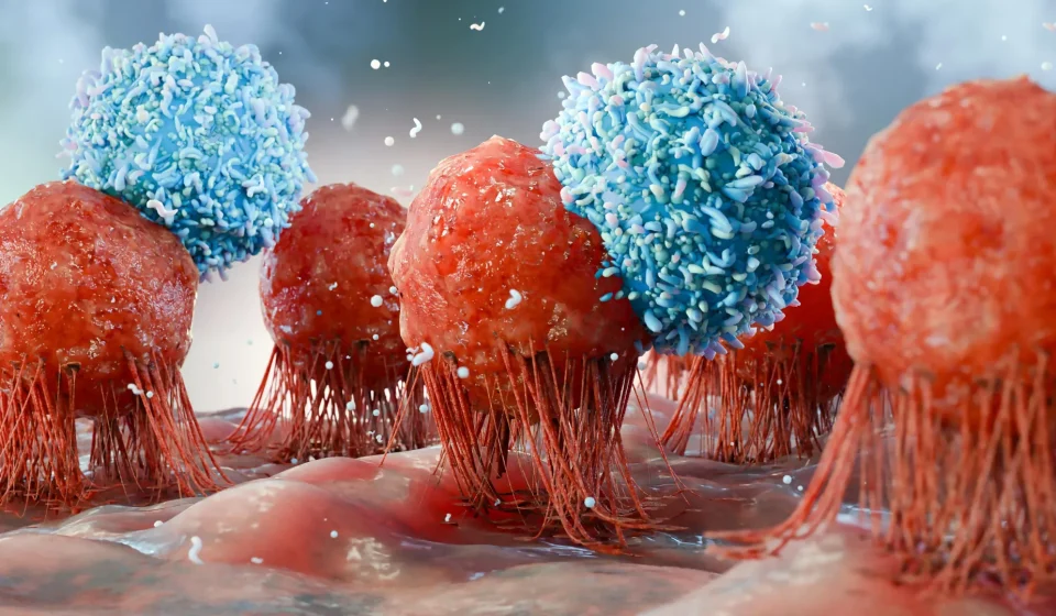 USC scientists discover how to create an endless supply of cancer-fighting cells
