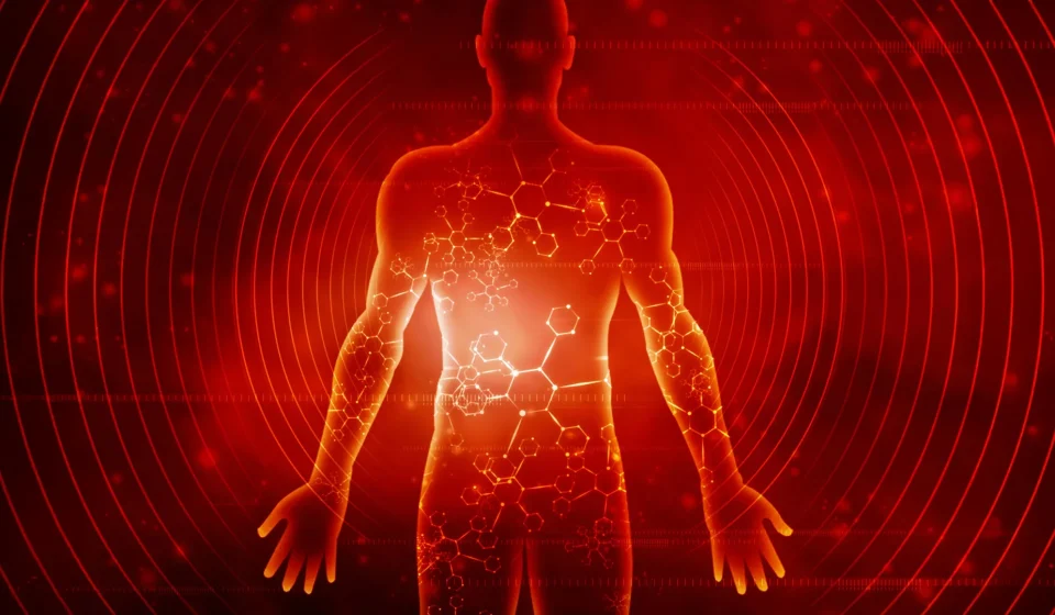 Scientists reveal the effects of seven days of fasting on the human body