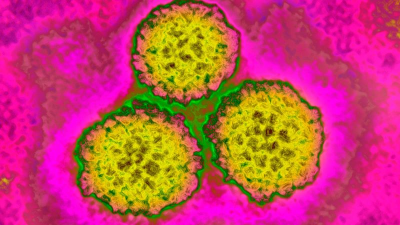 Around 1 in 8 cancer cases worldwide are linked to these infections – most of them preventable