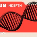 Mathematics crisis fuels fears that AI will undermine science