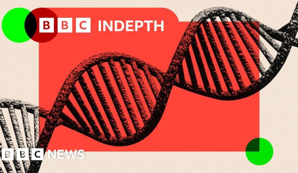 Mathematics crisis fuels fears that AI will undermine science