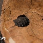 Hole in Neanderthal shoulder bone linked to ancient wooden spear