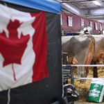 Trump's Canadian dairy and auto import bans could fuel inflation, expert says