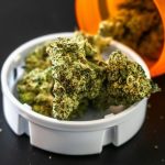 Scientists identify brain cells that could explain why cannabis triggers anxiety: ScienceAlert