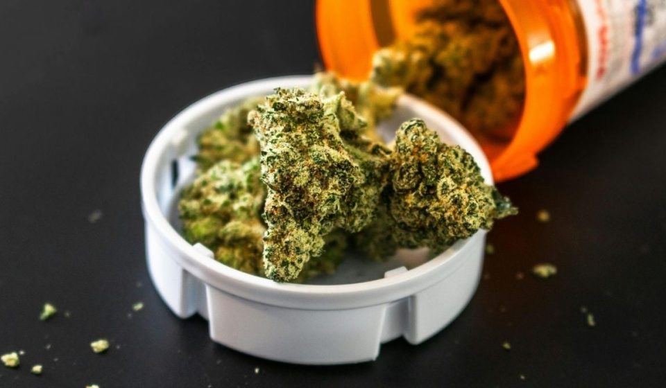 Scientists identify brain cells that could explain why cannabis triggers anxiety: ScienceAlert