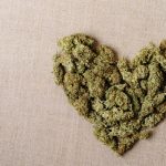 These states have legalized weed. More heart attacks followed