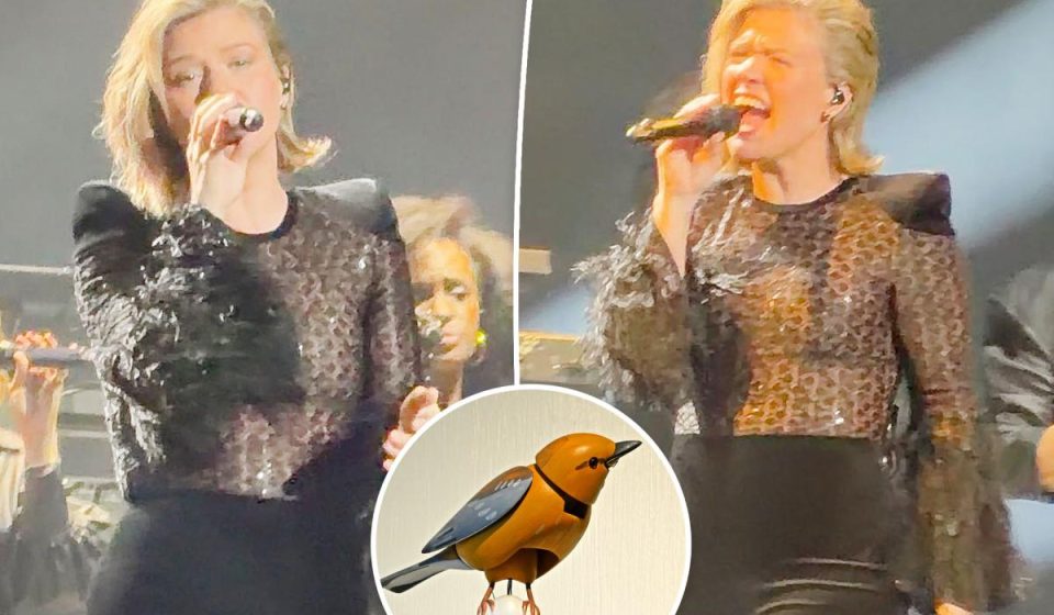 Kelly Clarkson returns to stage as drama with Brooklyn store over toy bird rages
