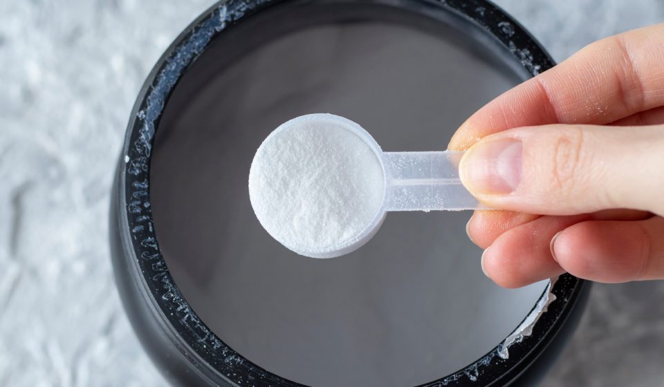 Popular Workout Supplement May Protect Brain From Intestinal Inflammation Popular Workout Supplement May Protect Brain From Intestinal Inflammation