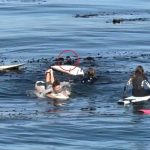 Otter finds himself in a tense confrontation with young surfers off the coast of California