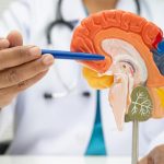 I'm a Neurologist — 7 Habits That Damage Your Brain