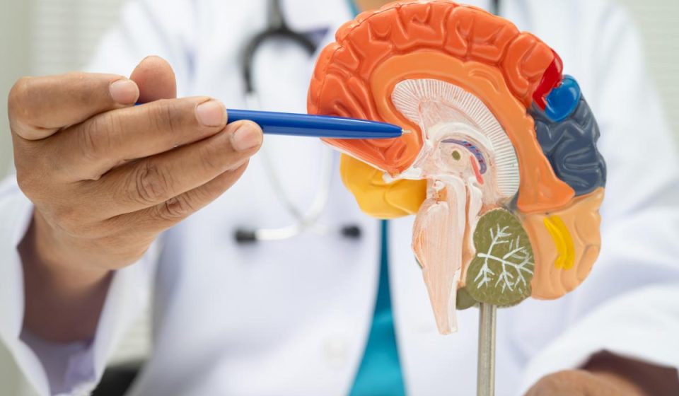 I'm a Neurologist — 7 Habits That Damage Your Brain