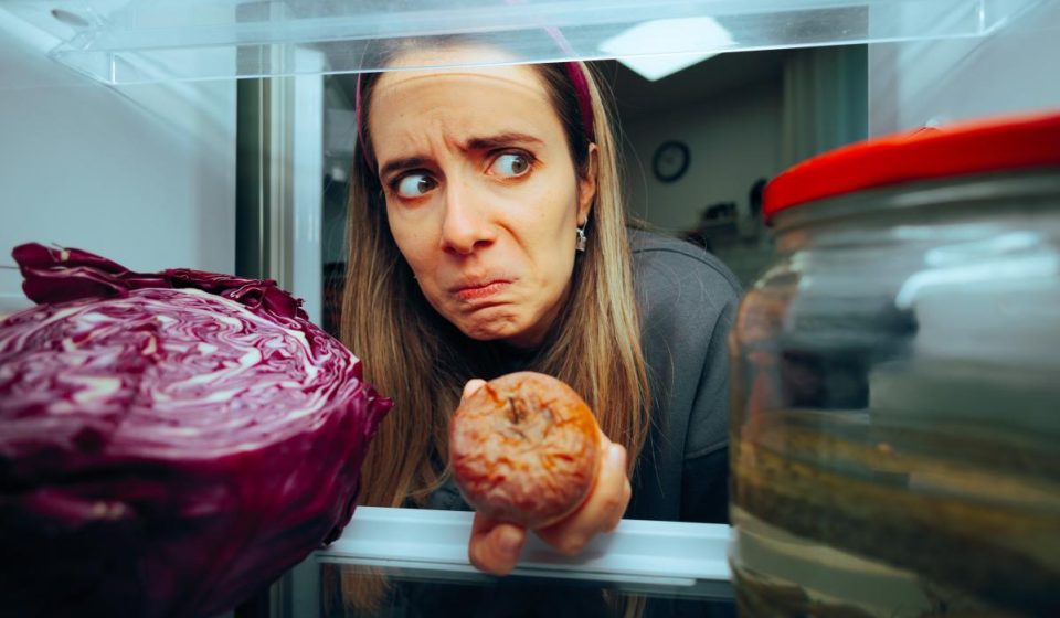 Which moldy foods are safe to eat and which should be thrown away