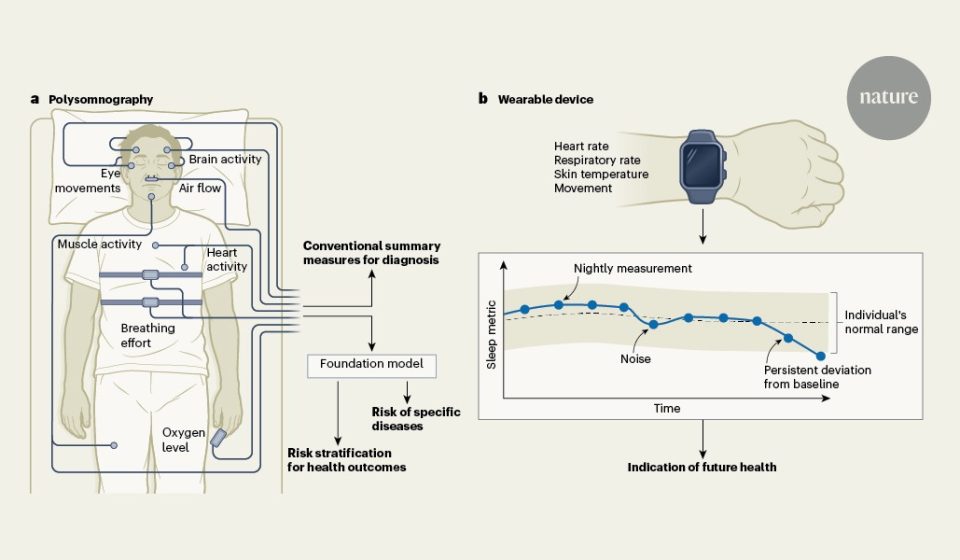 Hidden sleep signals may predict future health - Nature