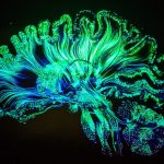 Microdosing LSD Has Some Cognitive Benefits – But Only for Women
