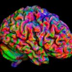 Large mapping study reveals how your brain tracks how your body feels