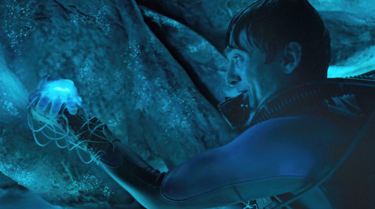 Can a human survive in the belly of a whale? The science behind the thriller Whalefall