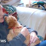 Ceredigion man who died of scabies branded environmental risk
