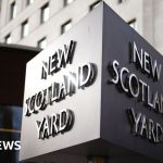 No further action against government adviser's wife over Palestine Action post, police say - BBC News Africa