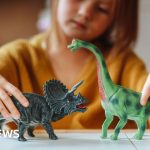 How a toy made in China arrives at a US retailer – BBC