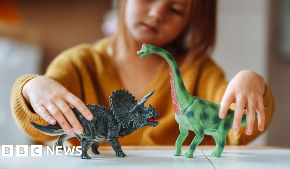 How a toy made in China arrives at a US retailer – BBC