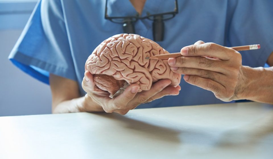 A surprising red flag in your bones could signal future brain decline A surprising red flag in your bones could signal future brain decline