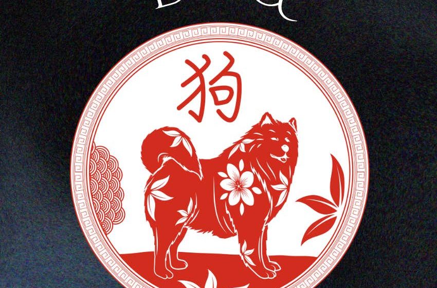 3 Chinese Zodiac Signs Attract Success and Good Fortune the Week of October 26 to November 1
