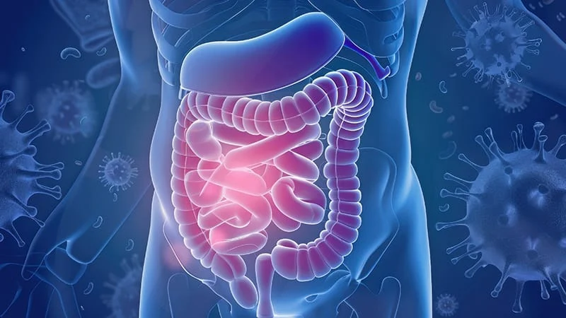 IBS Symptoms Improved by FODMAP Targeting Enzyme Combination